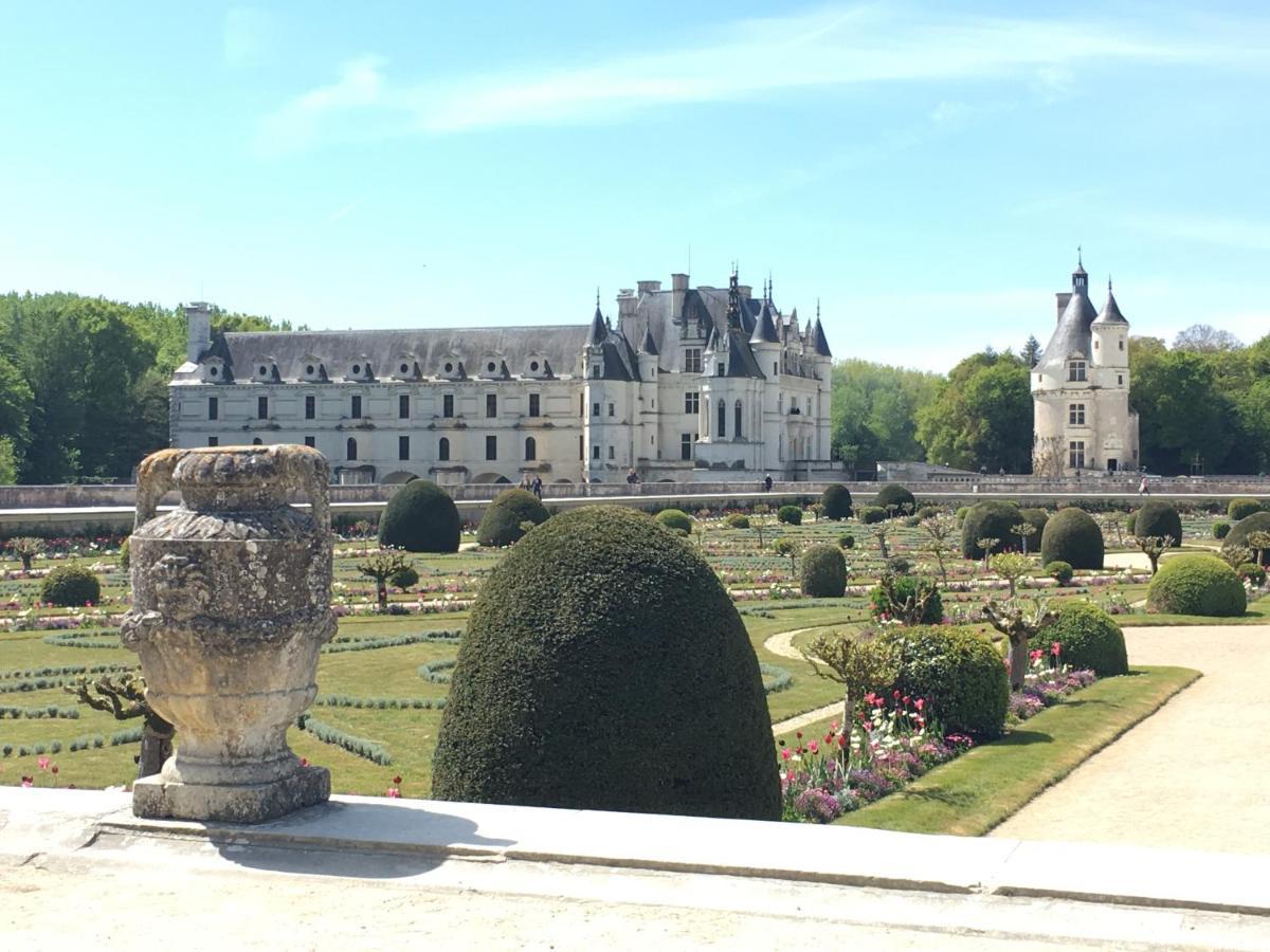 Sans Souci Bed And Breakfast Luxe Heated Pool And Restaurant Luzillé 외부 사진