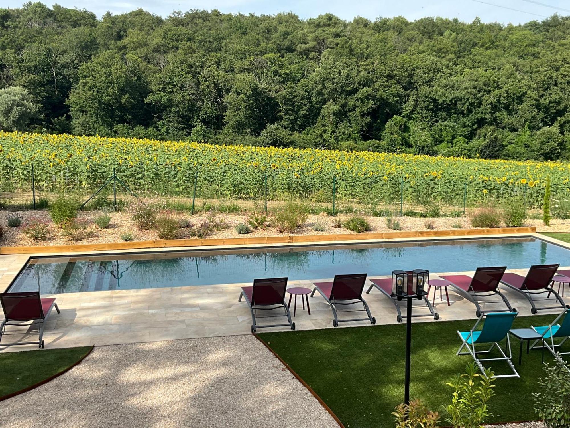 Sans Souci Bed And Breakfast Luxe Heated Pool And Restaurant Luzillé 외부 사진